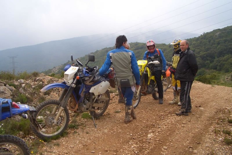 CIMG3131 [800x600]_jpg